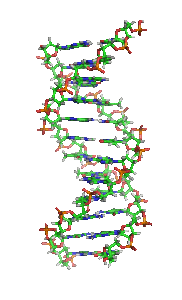 Ausschnitt der DNA